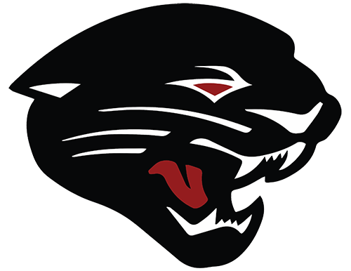 Desert Ridge Jaguars Basketball logo