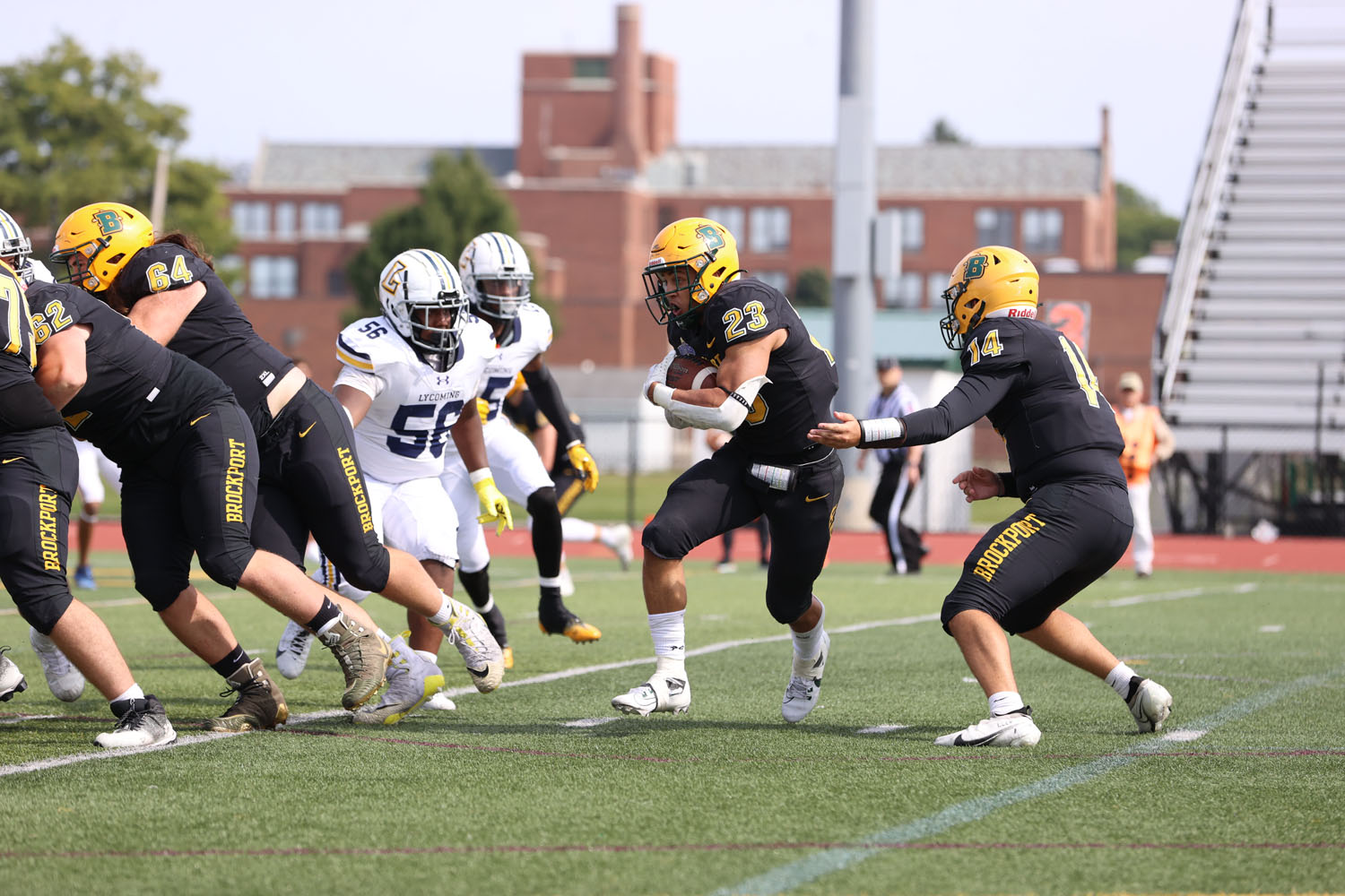 RB getting the handoff from the QB