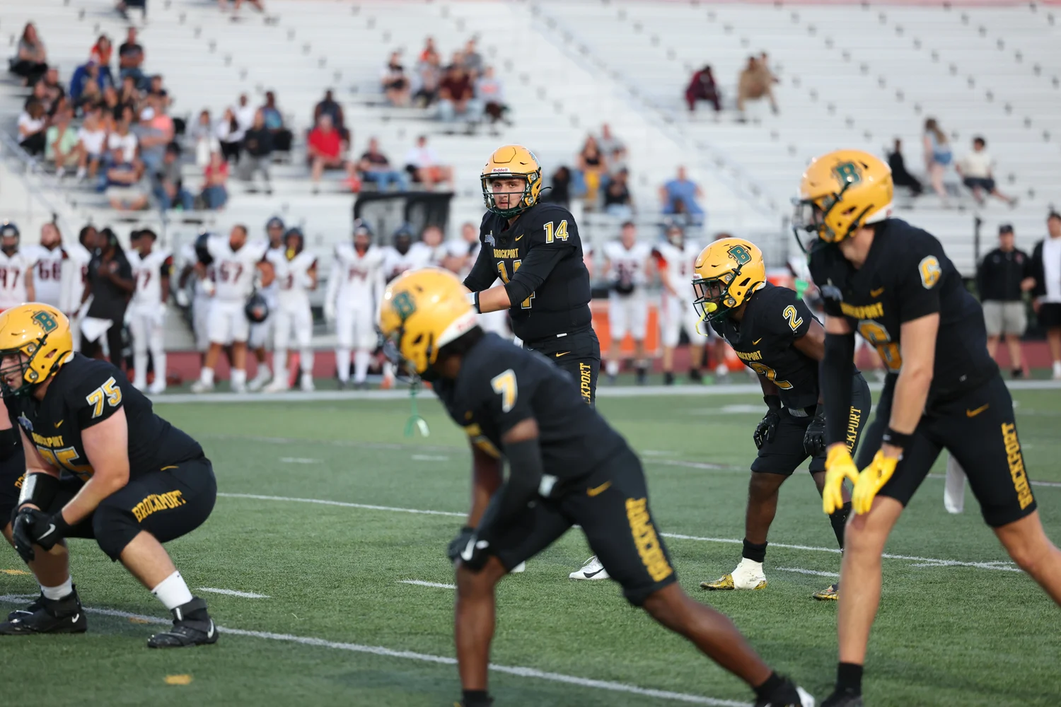QB calling signals to get the play started